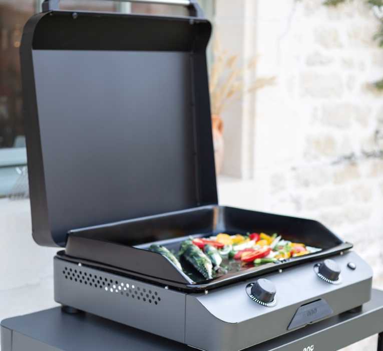 Fusion Cargo gris - 60 - Plancha Gaz - Outr